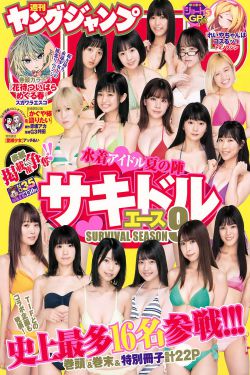 一品布衣