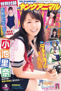 李心洁老公