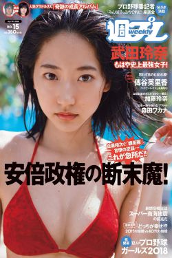 青青子衿小说