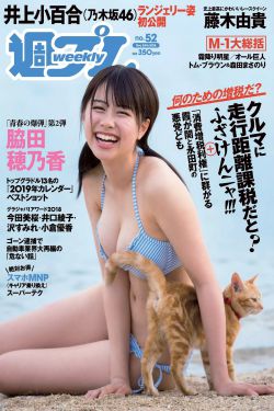 因法之名剧情介绍