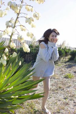 一不小心捡到爱电视剧免费观看