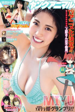 小dodo鸟生活